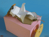 My paper automata-spread-eagle-dog-gif.gif