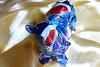 Pepsi can Welsh Corgi Pembroke from Canon Papercraft-p1160595.jpg