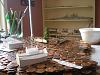 Diorama with pennies-out-007.jpg