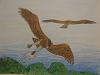 my prehistoric drawing-woodwards-eagle.jpg