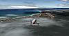 Exploring the real world in the Google Earth Flight Simulator-10-princess-juliana-st-maarten-island-approach-final.jpg