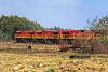 Railway Pics - Locos, Rolling Stock, Buildings, Etc!-class-44.jpg