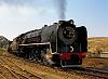 Railway Pics - Locos, Rolling Stock, Buildings, Etc!-pm2.jpg