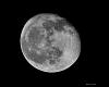 Moon Pictures-017w-lz.jpg