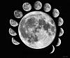 Moon Pictures-many-moons-3alz.jpg
