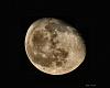 Moon Pictures-010wlz.jpg