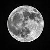 Moon Pictures-051west-lz.jpg