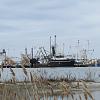 &quot;birding&quot; fun-200312a_fishing_fleet_in_cape_may_harbor_from_two-mile_landing.jpg