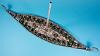 Viking Longship model released-dsc03775.jpg