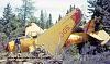 Murph's Avenger Wheeler Airlines Canada-wheeler-tbm500-wreck_junipernb_crashed-jun1958_l2a-04_annotated.jpg