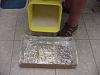 Sand/Litter building box-07-pour-into-lined-box.jpg
