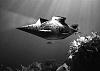 Vintage Submarine-underwater-b-w600.jpg