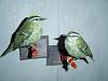 My sweet little birdies-dsc00162.jpg