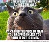 For the Cats-a_cats_logic_540.jpg