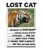 For the Cats-lost-cat-sign.jpg