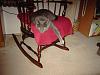 For the Cats-chair.jpg