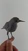 THE BIRDS (all things bird model related!)-starling-finger.jpg