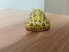 My Frog Collection-1434873874432.jpg