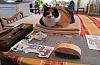 For the Cats-img_0215-e-mail.jpg