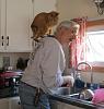 For the Cats-img_0506-e-mail.jpg