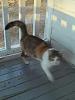 For the Cats-20140220-003.jpg