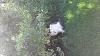 For the Cats-20140804_141236.jpg