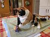 For the Cats-img_3410-e-mail.jpg