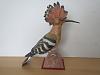 Hoopoe-img_2773.jpg