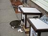 For the Cats-img_4909-e-mail.jpg