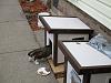 For the Cats-img_4911-e-mail.jpg