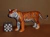 2010, The Year of the Tiger . . .-cimg0149.jpg