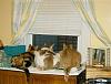 For the Cats-hpim2463-enhanced-e-mail.jpg