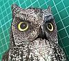 Scops Owl - Johan Scherft-head-10.jpg