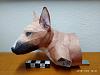 Bull Terrier Puppy-img_20190122_104136.jpg