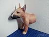 Bull Terrier Puppy-img_20190126_141154.jpg