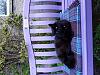For the Cats-20190405_132631.jpg
