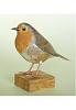 Johan Scherft's Robin-robin-picture.jpg