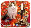 For the Cats-croak-xmas-2.jpg