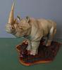 White Rhino from &quot;Zoo Tycoon&quot;..-sam_0153.jpg