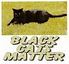 For the Cats-bcm1.jpg