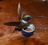 J. Scherft hummingbird-dsc_0246.jpg