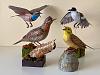 A few Johan Scherft birds-img_e4958.jpg