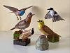 A few Johan Scherft birds-img_e4959.jpg