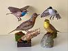 A few Johan Scherft birds-img_e4960.jpg