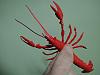 Crayfish &amp; red bee shrimp-img_20210219_233226_2.jpg