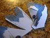 Belted Kingfisher design-dsc_0731.jpg