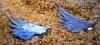 Belted Kingfisher design-dsc_0738.jpg