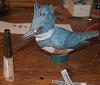 Belted Kingfisher design-dsc_0762.jpg