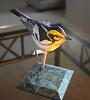 Blackburbian Warbler new model-dsc_0962.jpg