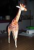 Canon Giraffe-100_6619a.jpg